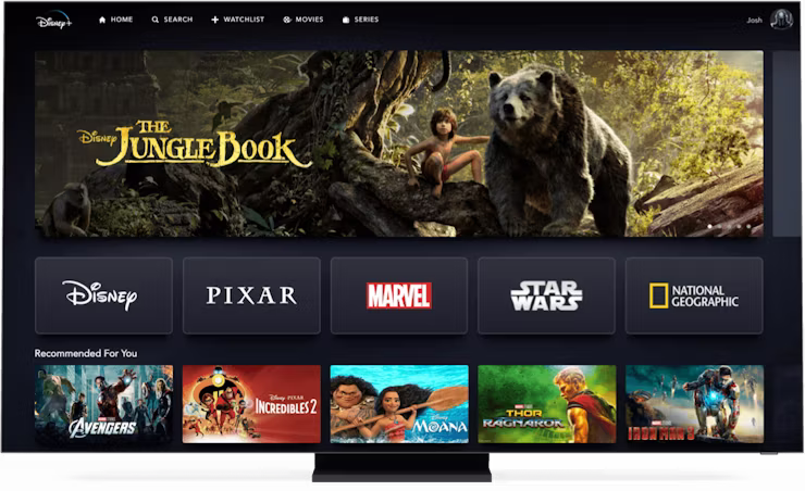 ExpressVPN에 가입하여 Disney+를 비공개적으로 안전하게 스트리밍하세요.