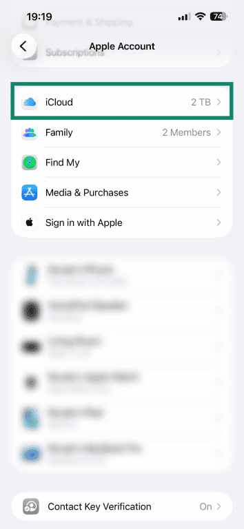 The Apple Account page of the Settings, showing the iCloud menu option.