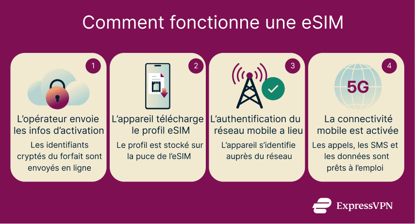 Image How An Esim Fr 1